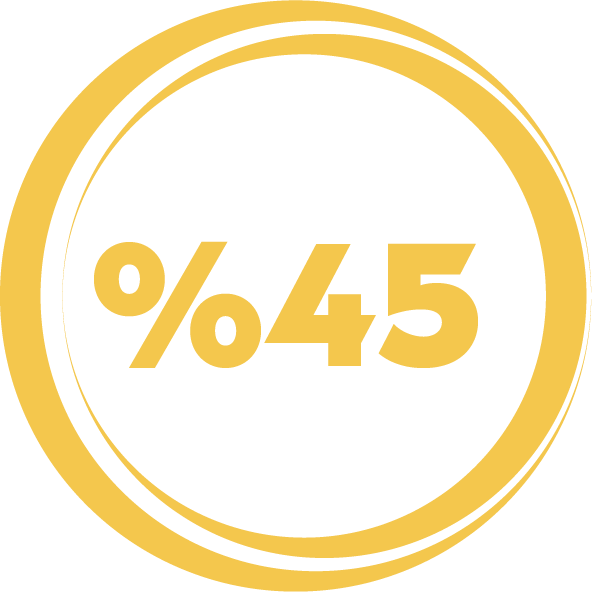 %45 İkonu